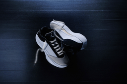 Air Jordan 40
