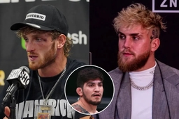 Jake Paul, Logan Paul, Dillon Danis