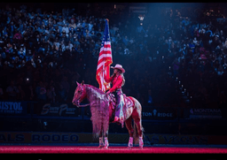 rodeo