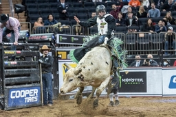 PBR Unleash The Beast in New York Boudreaux Campbell of Crockett, Texas rides a bull during PBR Unleash The Beast at Mad