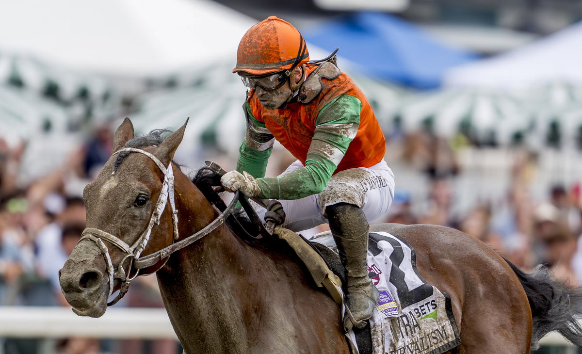 Horse Racing 2025: Haskell Stakes Day JUL 30