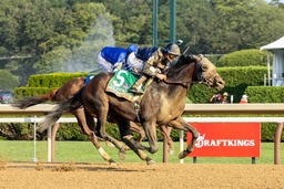 Horse Racing 2025: Whitney Stakes Day  Aug 02