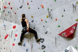 rock-climbing-wall-3297942_1280