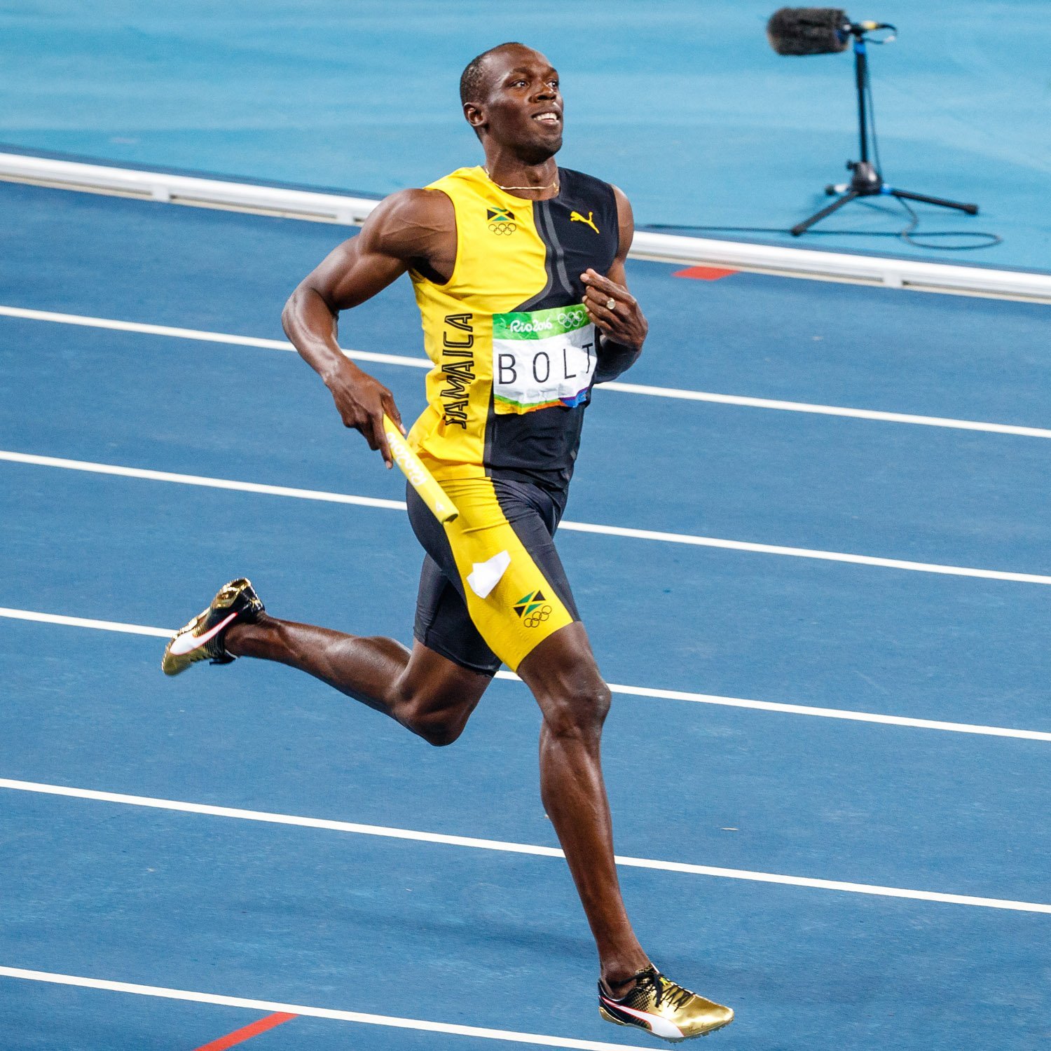 How fast is Usain Bolt compared to the worlds fastest animals and machines?