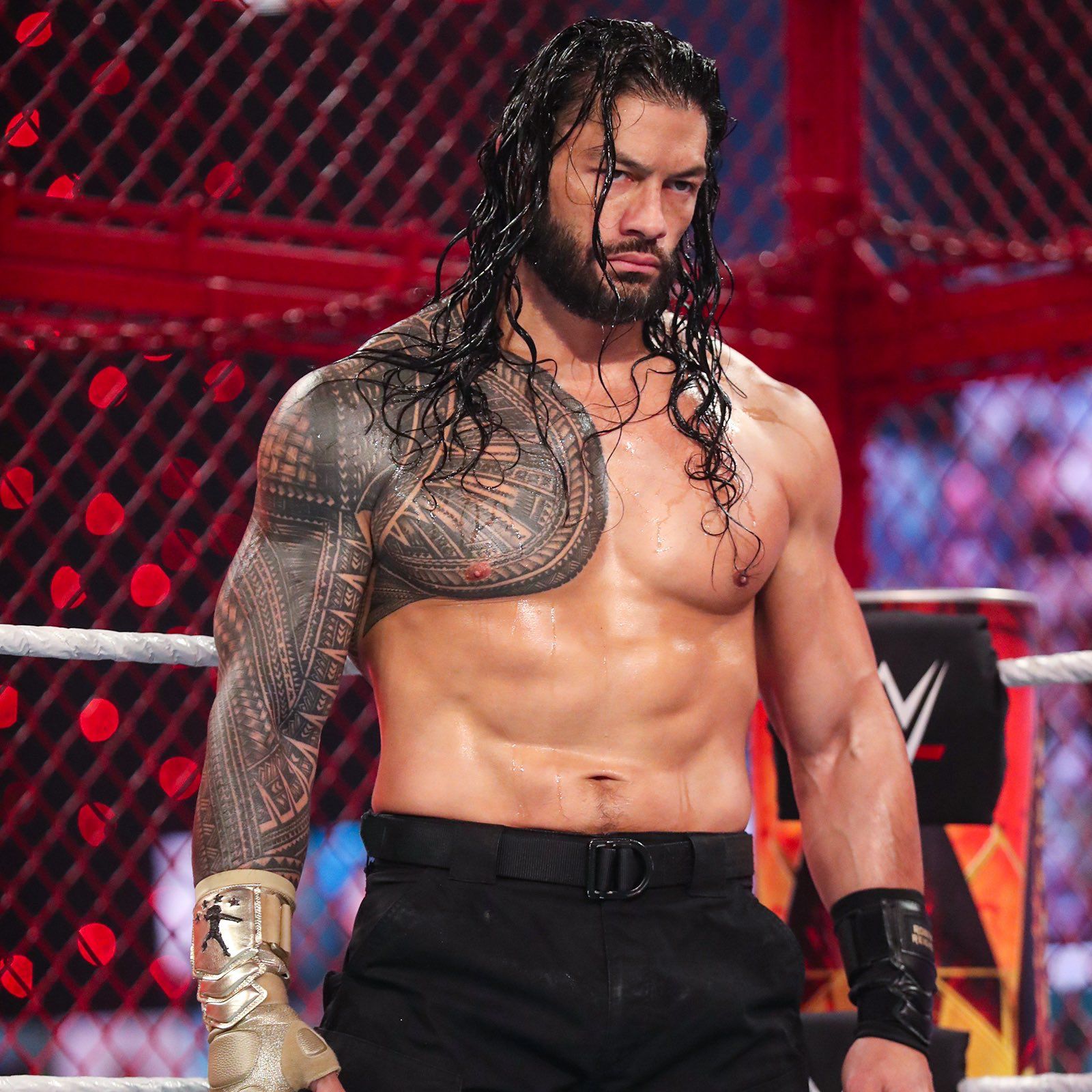 Roman Reigns to Charlotte Flair: WWE Superstars With the Best and Most  Meaningful Tattoos