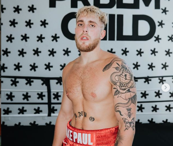 boxing news watch youtuber jake paul brutalizes bloo s and knocks out sparring partners